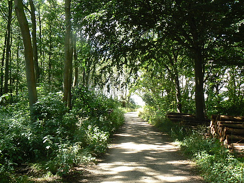 Ausgewiesene Wanderwege